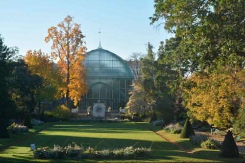 Serres d'Auteuil