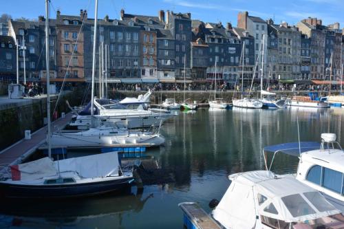 Honfleur