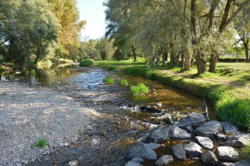 L'Allier à Lavaudieu (Haute-Loire)