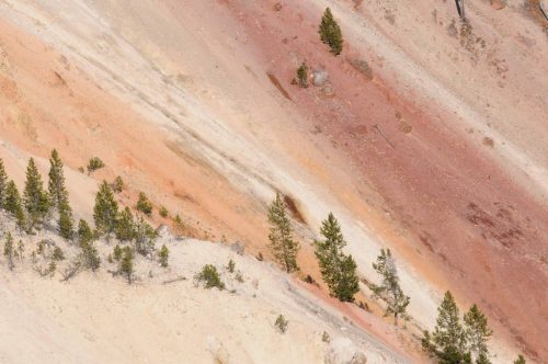 Canyon de Yellowstone