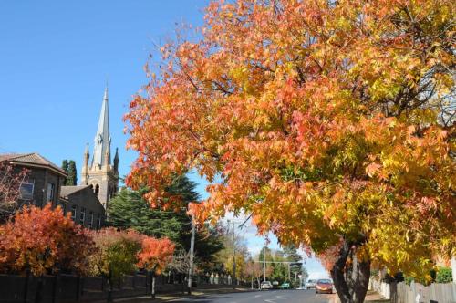 Armidale : Eglise catholique construite en 1911