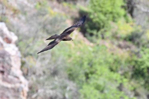 Milan noir à Salto del Gitano