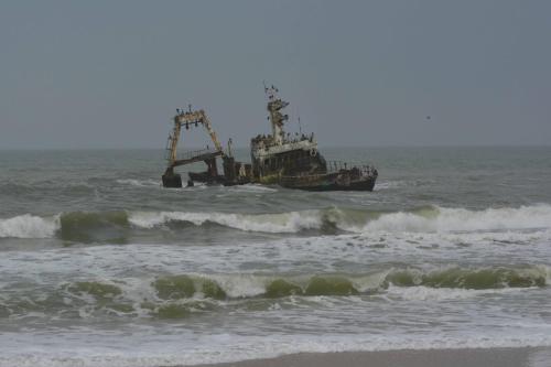 Epave du chalutier Zeila, grands cormorans