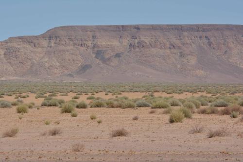 En direction de Fish River Canyon