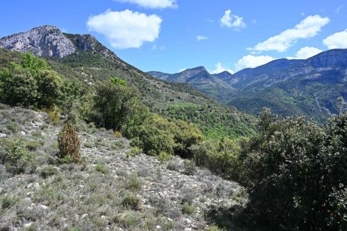 Au dessus d'Alinyà