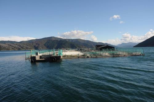 Ferme d'élevage de saumon 