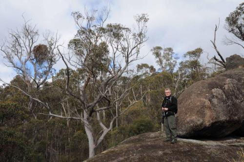 Parc national de Cathedral Rock