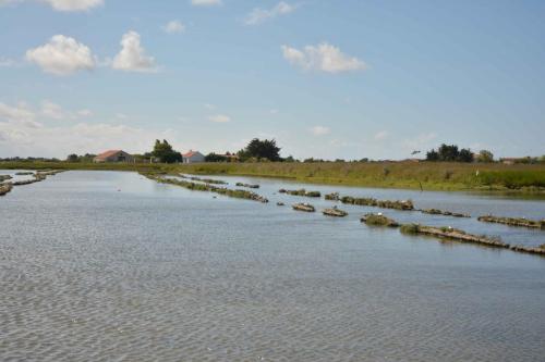 Vue depuis l'observatoire du Daviaud
