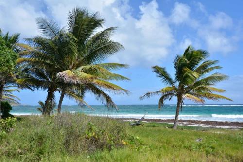 Plage de l'Anse Trabaud