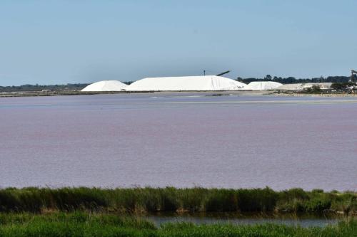 Salins d'Aigues-Mortes