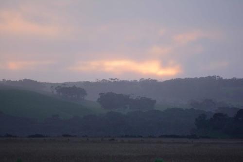 Marais de Princetown