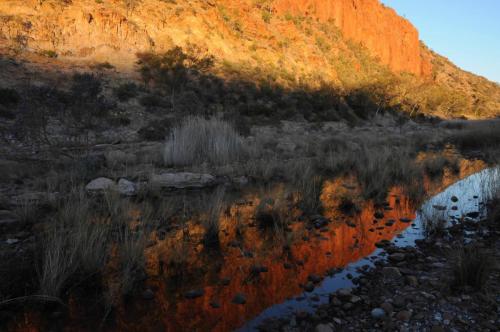 Lever de soleil sur la gorge de Glen Ellen