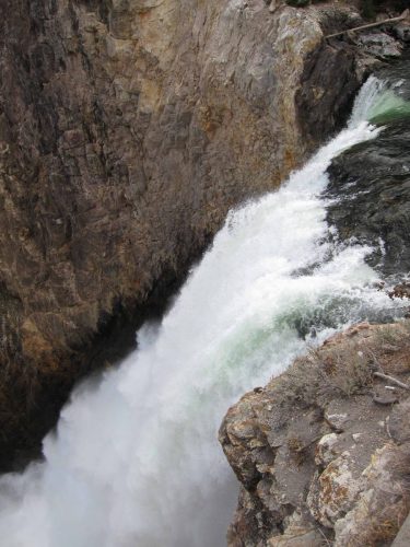 Canyon de Yellowstone