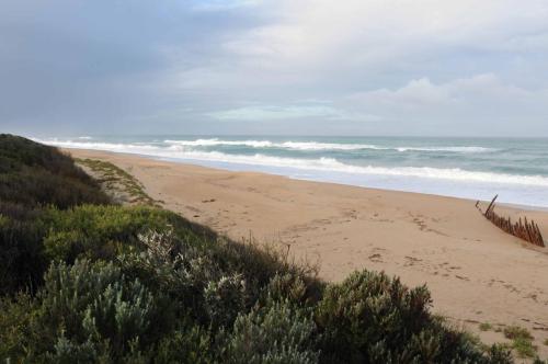 Epave d'un bateau échoué sur 90 miles beach