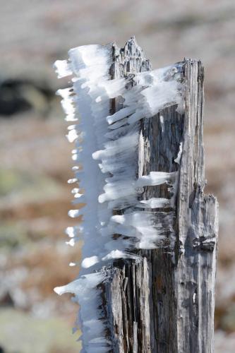 Sommet du Mont Washington