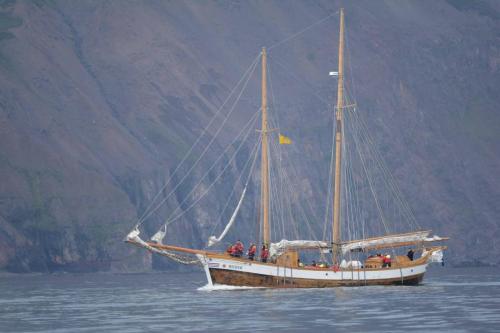 Voilier d'observation de baleines