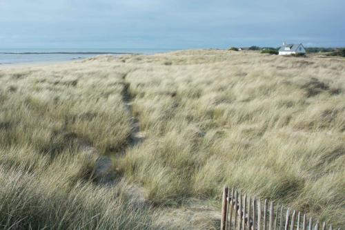 Dunes de Saint-Germain-sur-Ay-Plage