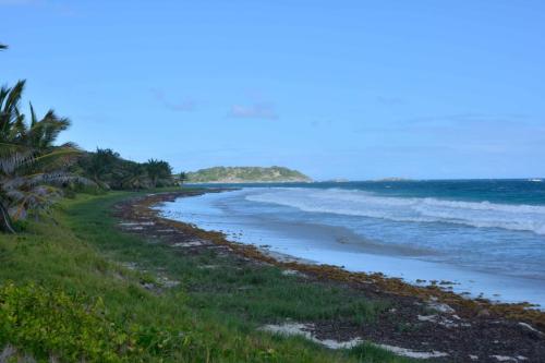 Plage de l'Anse Trabaud