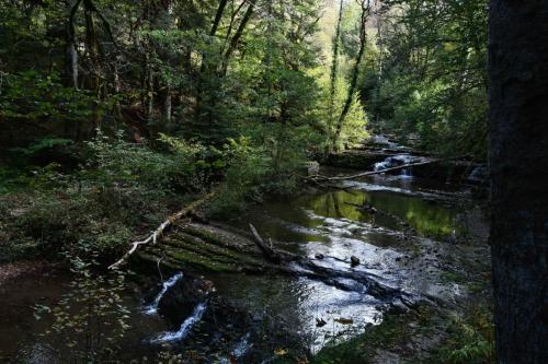 Cascades du Hérisson