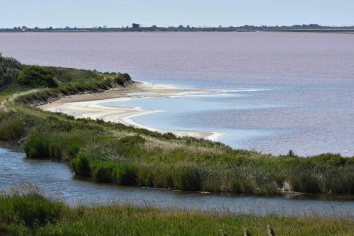 Salins d'Aigues-Mortes