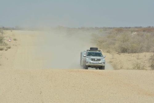 Sur la C39 entre Khorixas et  Petrified forest