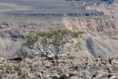 Fish River Canyon