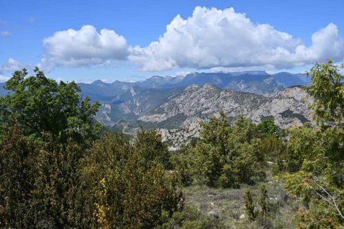 Au dessus d'Alinyà