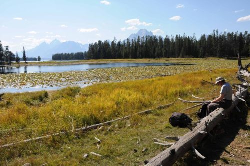 Heron Pond (Etang du héron)