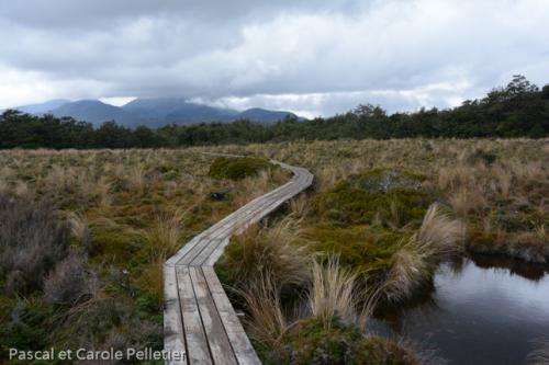 Le parc est trés humide, avec beaucoup de tourbières 