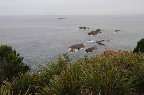 Seal Rocks
