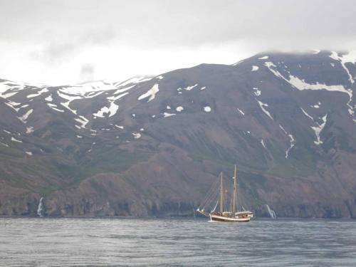 Voilier d'observation de baleines