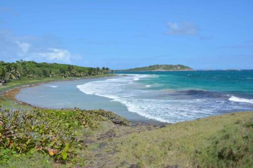 Plage de l'Anse Trabaud