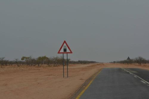 Fin du goudron, bonjour la piste, sur la D2612 en direction de la C35