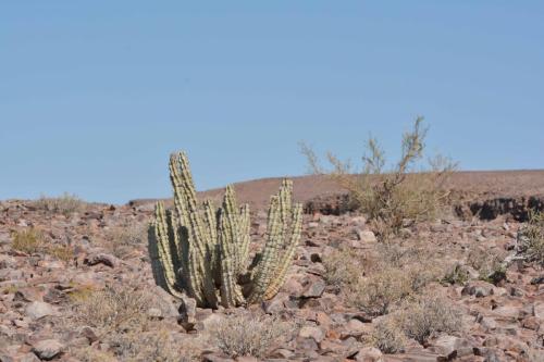 Fish River Canyon
