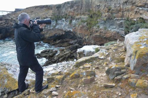 Près de la colonie de Bihoreaux gris