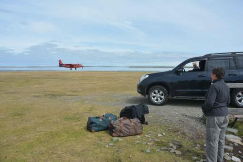 Arrivée de l'avion qui va nous emmener à Sea Lion Island