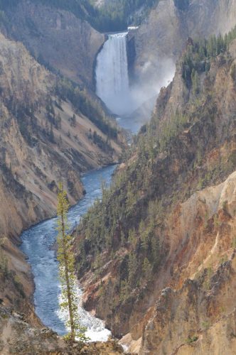 Chutes de la rivière Yellowstone (93m)