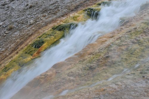 Lower geyser basin