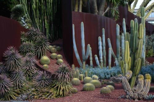 Jardin botanique royal