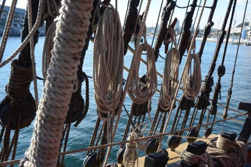 Réplique du bateau de James Cook, l'Endeavour
