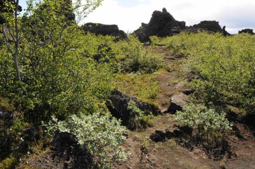 Dimmuborgir