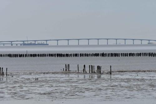 Pont de l'île de Ré depuis la pointe de l'Aiguillon