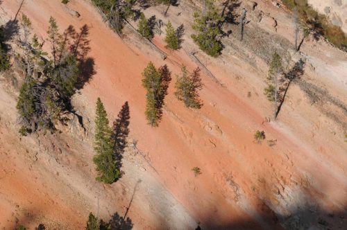 Canyon de Yellowstone