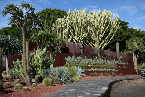 Jardin botanique royal