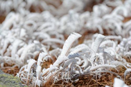 Sommet du Mont Washington