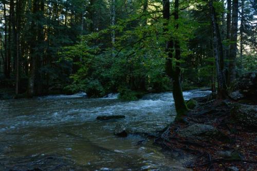 Cascades du Hérisson, après 24h de pluie