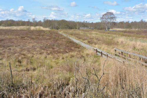 Réserve Lille Vildmose