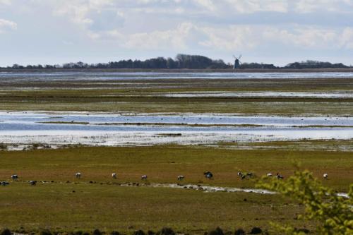 Réserve de Veljerne