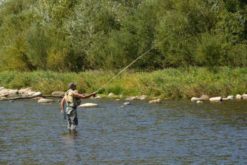 Pêcheur à la mouche