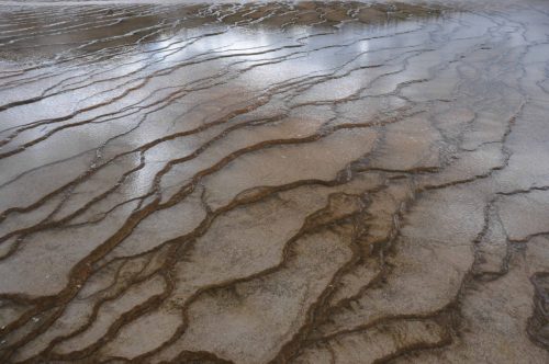 Lower geyser basin